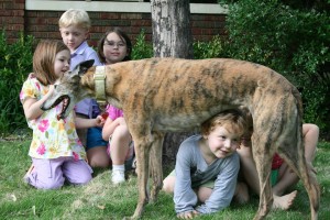 Gracie is gracious to neighborhood kids, who clearly adore her.