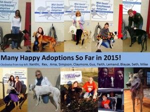 Adoptions March 2015